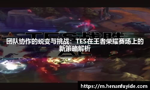 fun88官网体育
